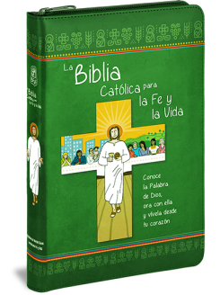 bibliafeyvida-pro